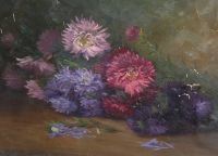 Reines marguerites 