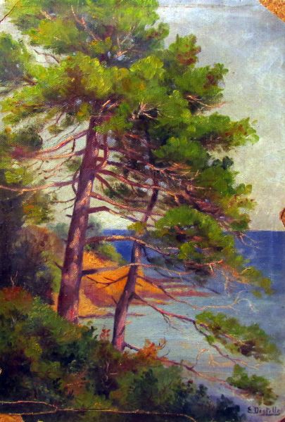 Sainte Maxime - Les Sardinaux 