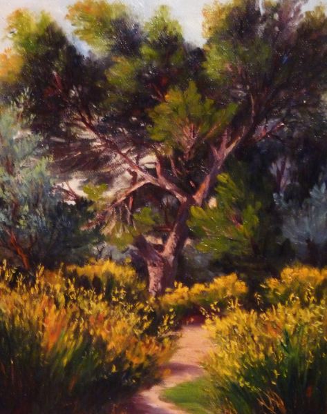 Chemin du gros pin