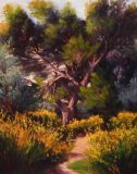 Chemin du gros pin