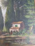 Cyprès et cabane