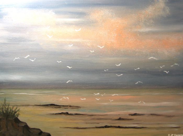 Envol de mouettes