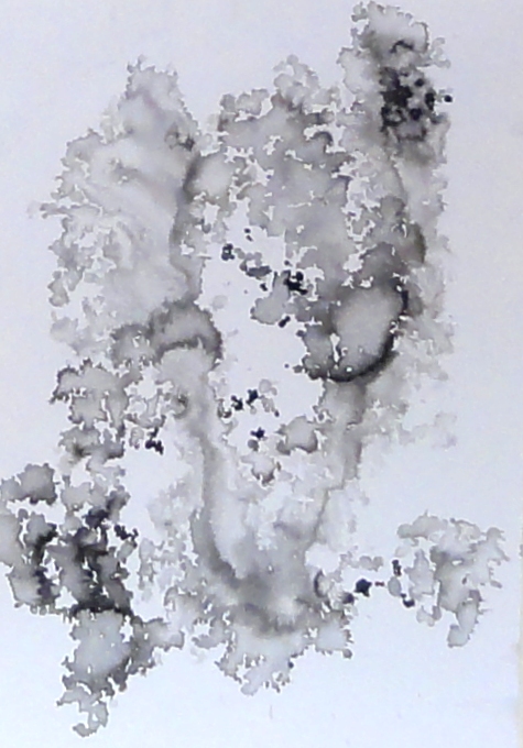1766 L if (20x30)